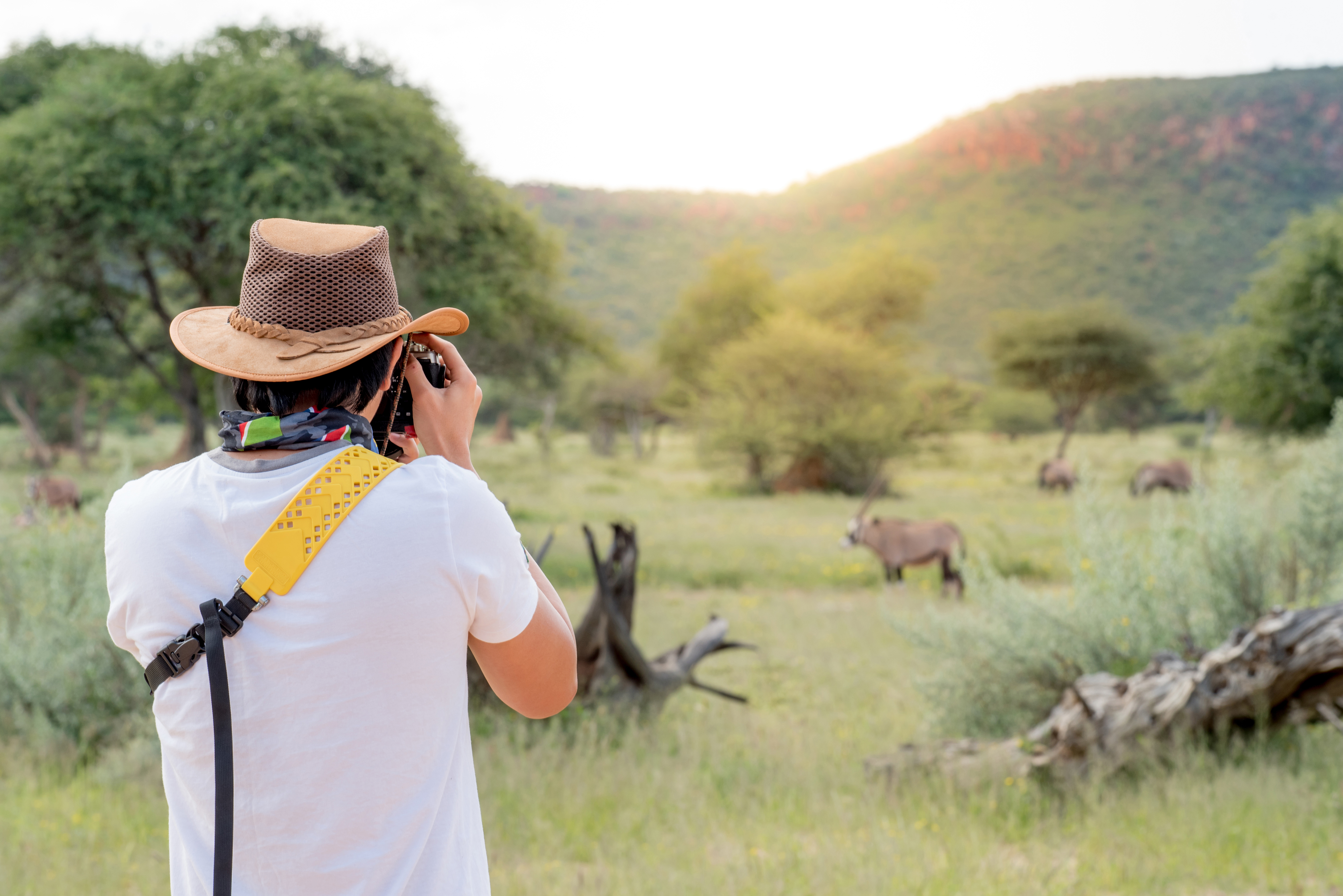 Young man traveler and photographer taking photo of Oryx, a type of wildlife animal in African safari. Wildlife photography concept