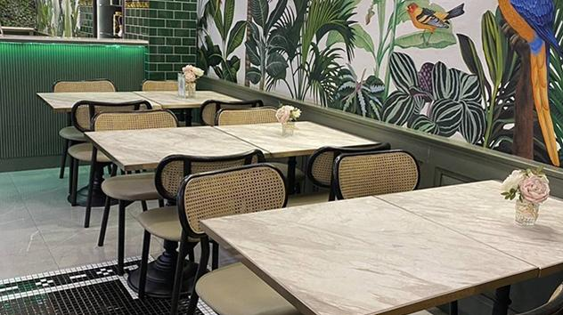 The Coral Forest Lounge