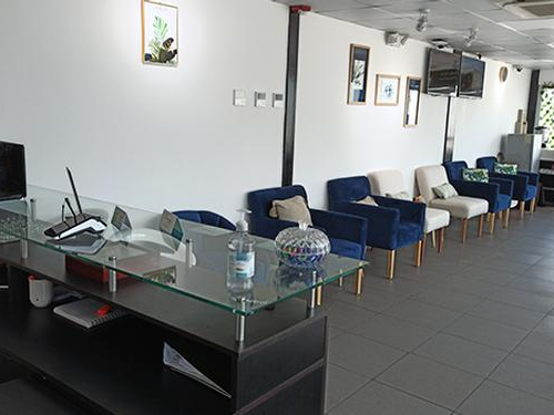 Ayahuasca VIP Café Lounge