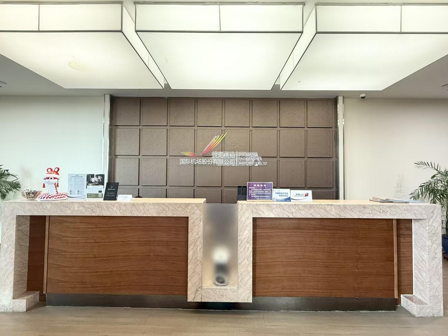 Shenyang Taoxian International SHE Terminal 3